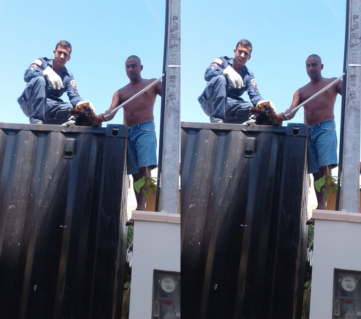 Cachorro fica preso e é resgatado pelos bombeiros em Navegantes