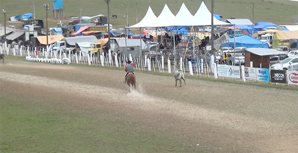 Mais de 30 mil pessoas são esperadas para o rodeio em Jaguaruna