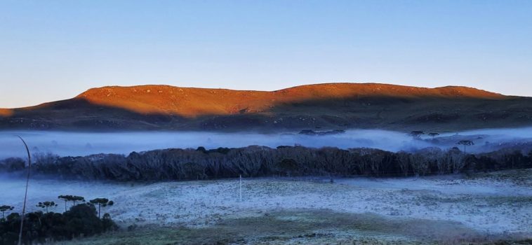 Geada cobre os campos na serra catarinense nesta terça-feira