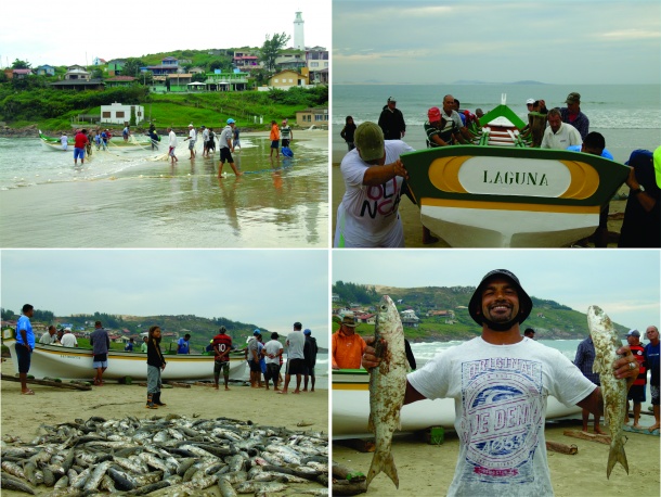 Safra da tainha: cerca de 200 quilos são capturados na abertura da pesca em Laguna