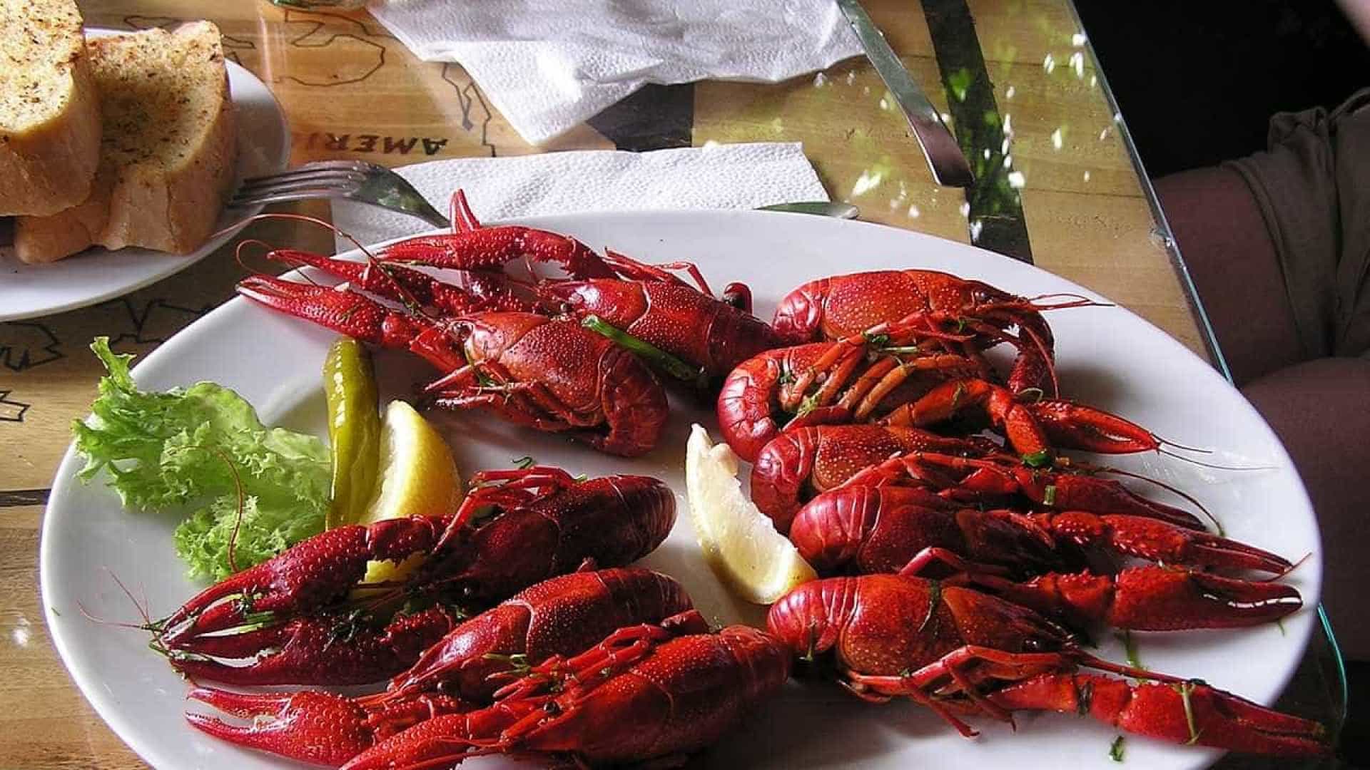 STF ignora críticas e acerta compra de lagostas e vinhos por R$ 481 mil