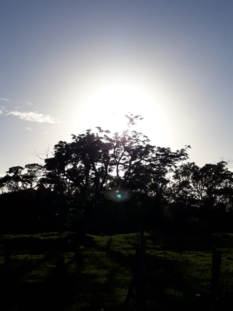 Quarta-feira de tempo firme e poucas nuvens em SC
