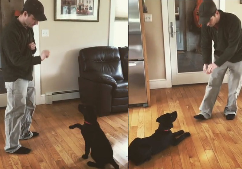 Internacional: Homem surdo adota cão também surdo e ensina língua de sinais