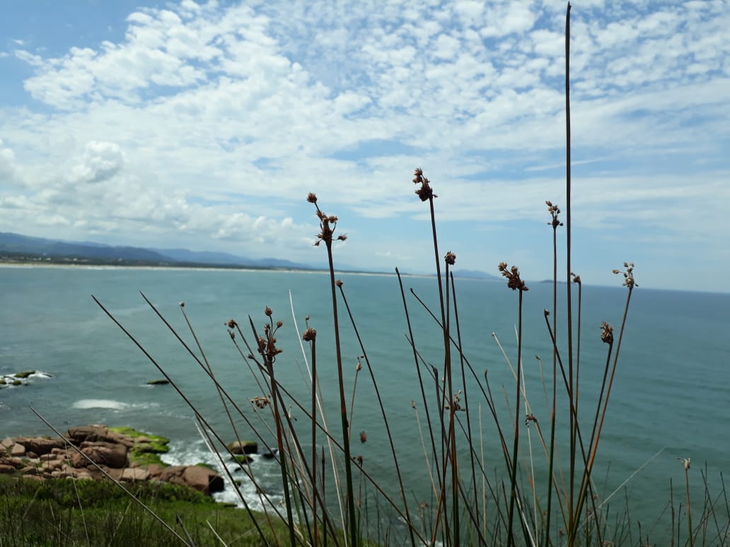 Segunda-feira com predomínio de sol e ar seco em SC