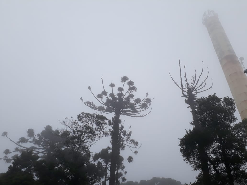 Domingo é marcado por nebulosidade em SC