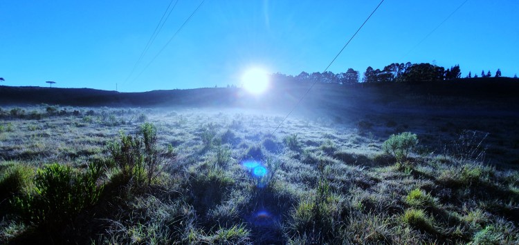 Semana de frio: Serra Catarinense volta a registrar geada e temperaturas negativas