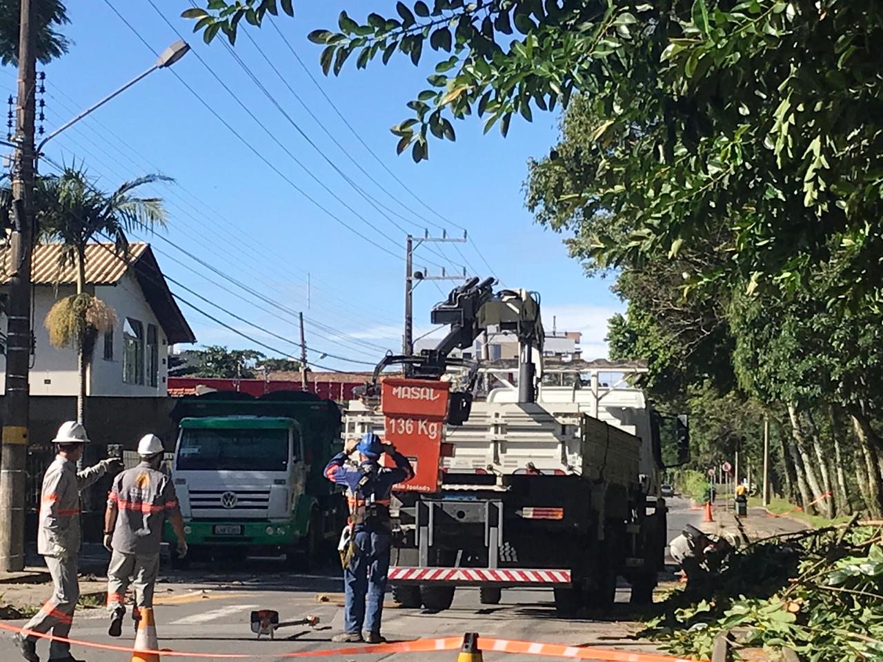 Serviços de limpeza e poda ocorrem em diversos pontos de Tubarão