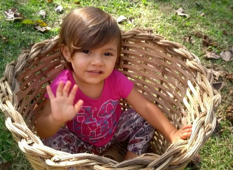 Criança de dois anos desaparece em sítio da região