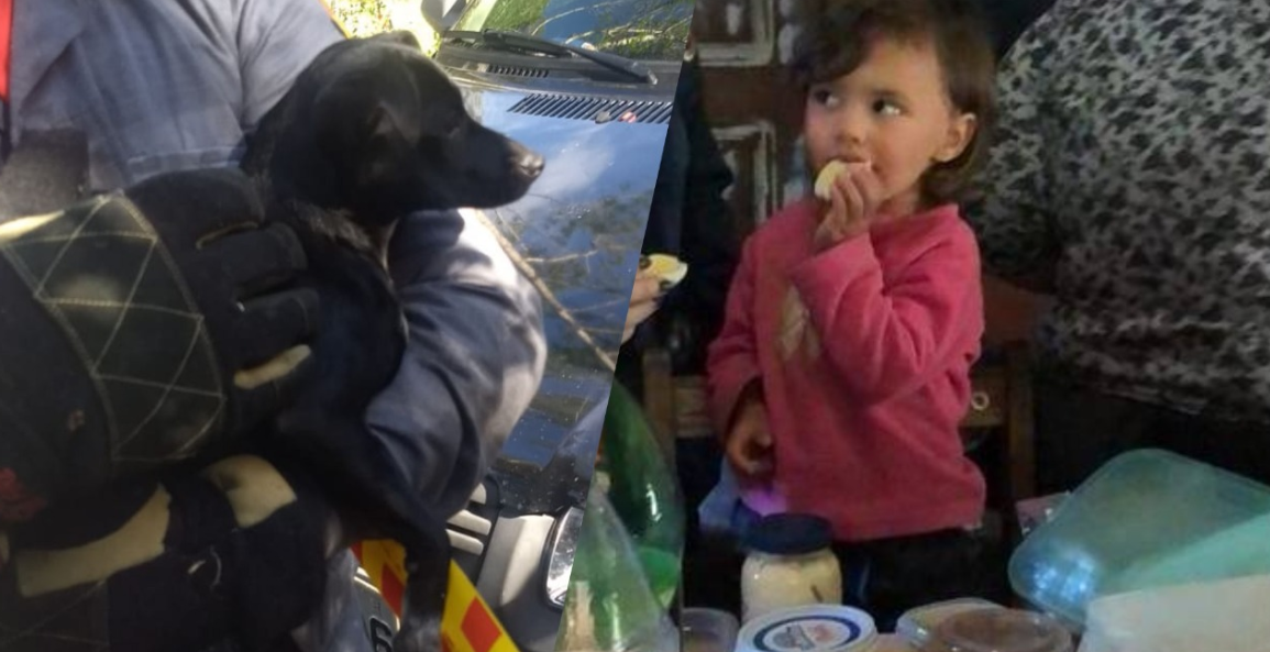 Jurema, a cachorrinha protetora: pequena Iara foi encontrada com o cão companheiro em Imaruí