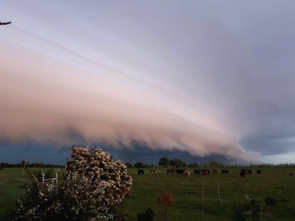 A partir de quarta-feira mudança no tempo com frio e geada