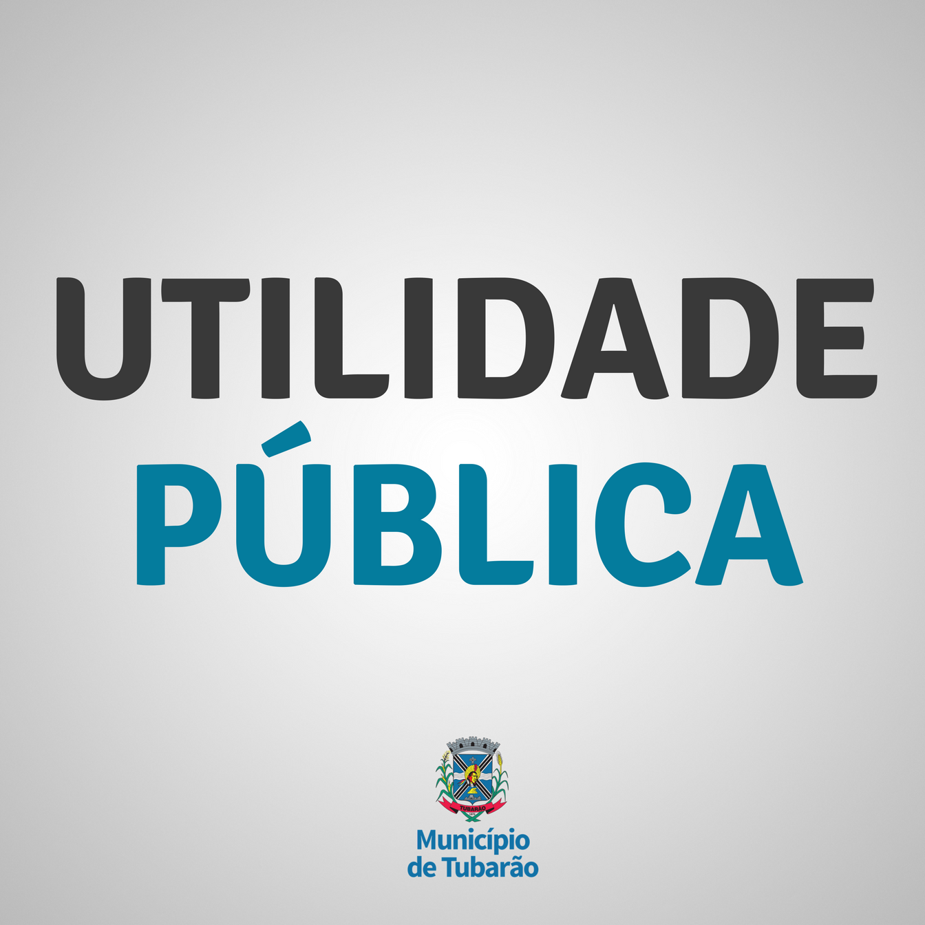 Beira-rio terá interdição no trânsito para remoção de árvores próximas ao Terminal Urbano