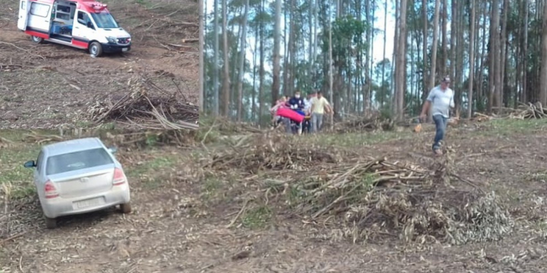 Acidente de trabalho: eucalipto cai em cima de homem em Rio Fortuna
