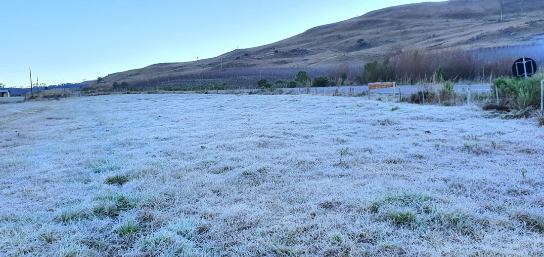 Confira imagens da 39ª geada do ano na Serra Catarinense