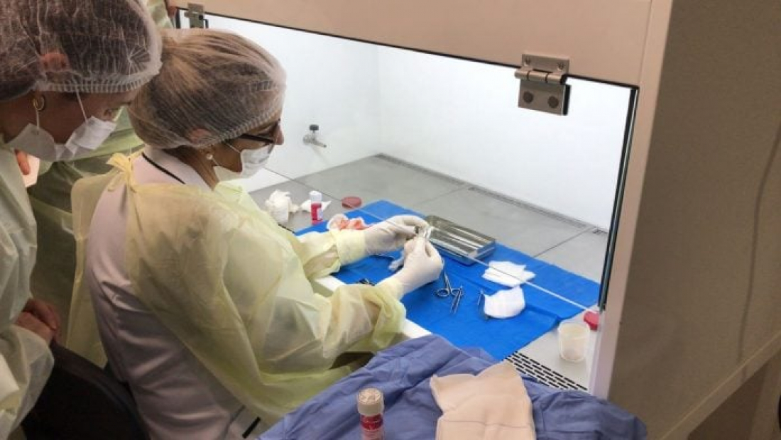 Banco de Olhos: mobilização insuficiente reflete em poucas captações