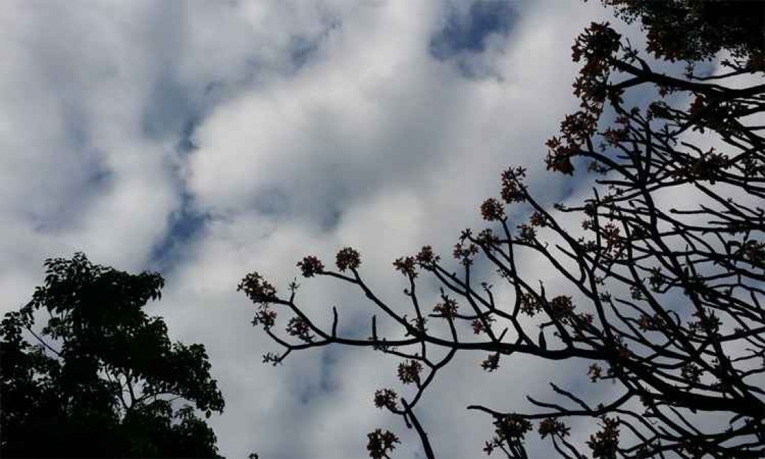 Sexta-feira com variação de nuvens e instabilidade em SC