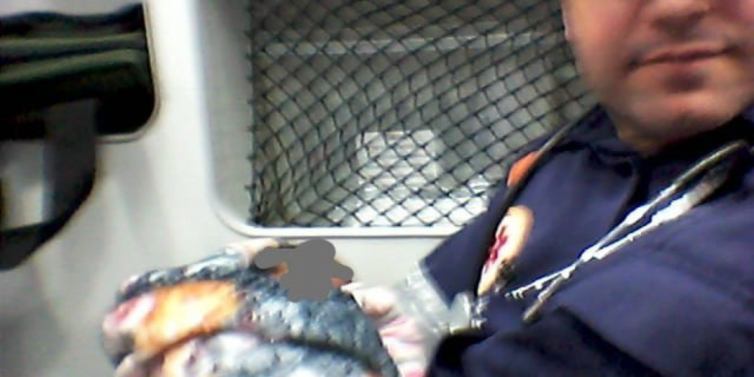 Após ficar sem respirar por obstrução de vias aéreas, bebê é salvo por Samu em Braço do Norte