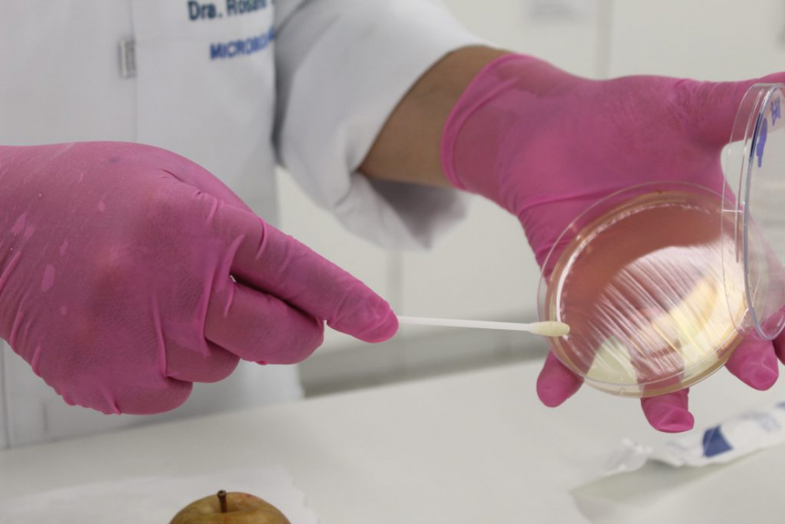 Saúde: Bactérias do intestino podem ser causa de asma e alergias, aponta estudo