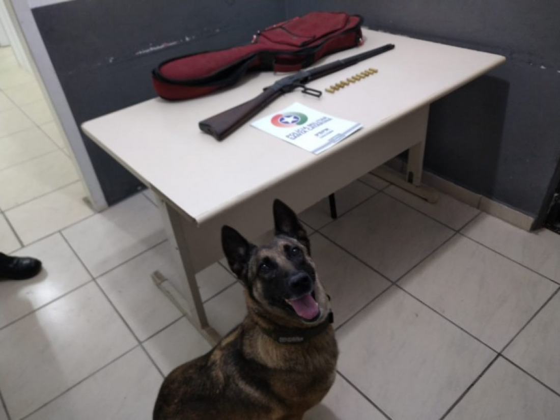 Com ajuda de cão farejador, polícia encontra arma de fogo e munições em Criciúma