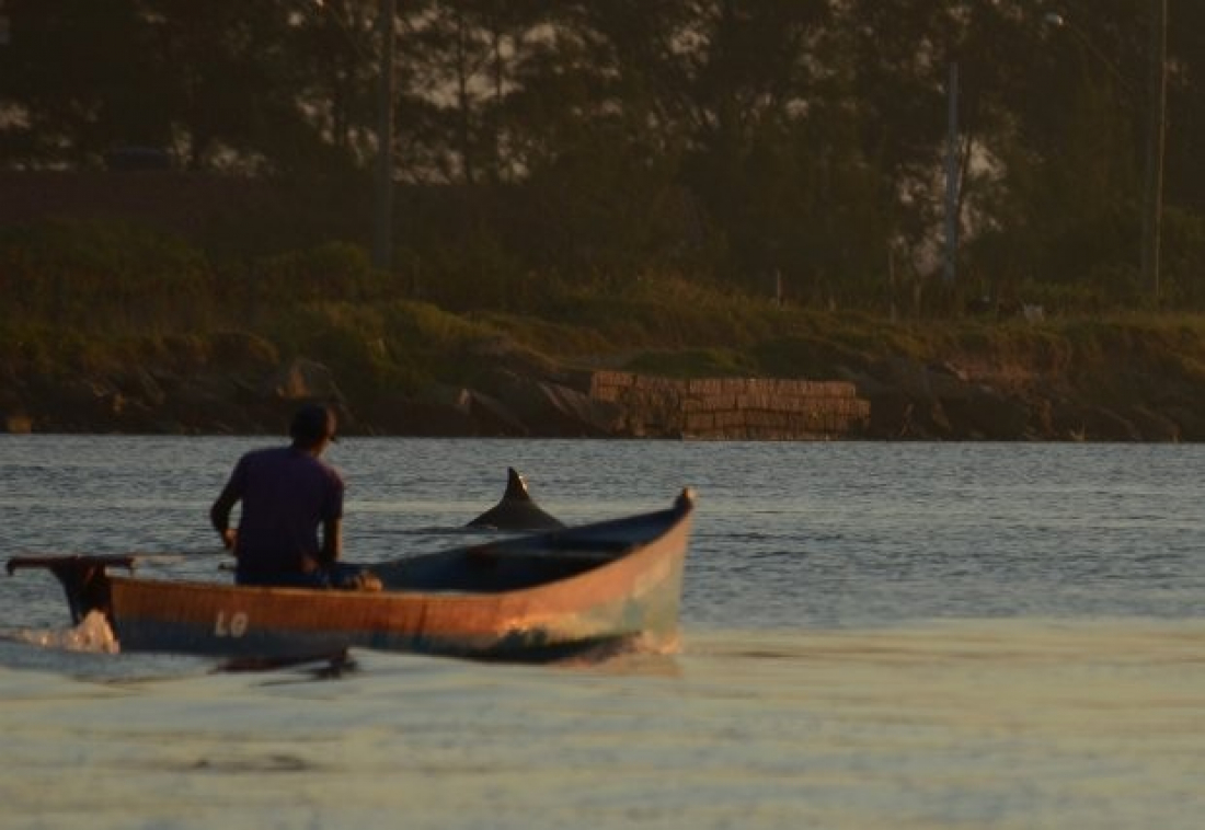IMA elabora Plano para Conservação dos botos-pescadores de Laguna