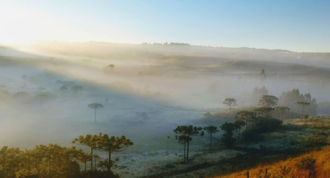 Julho se despede com massa de ar seco e frio em SC