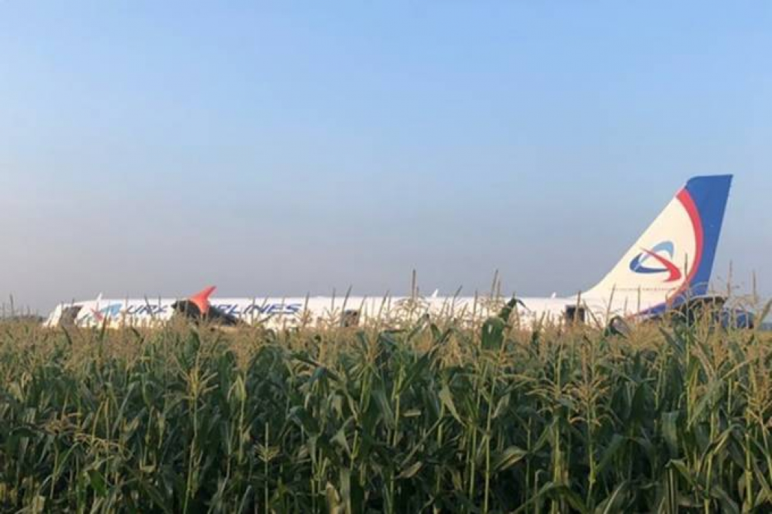 Internacional: Avião pousa em milharal após ser atingido por pássaros e 55 ficam feridos
