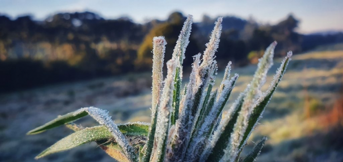 Sábado com geada na Serra Catarinense e temperaturas negativas