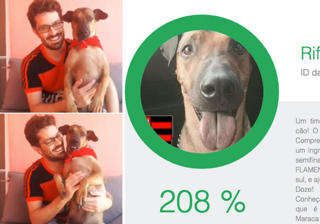 Solidariedade: vaquinha em prol do cachorrinho Doze, com câncer, bate meta em 12 horas