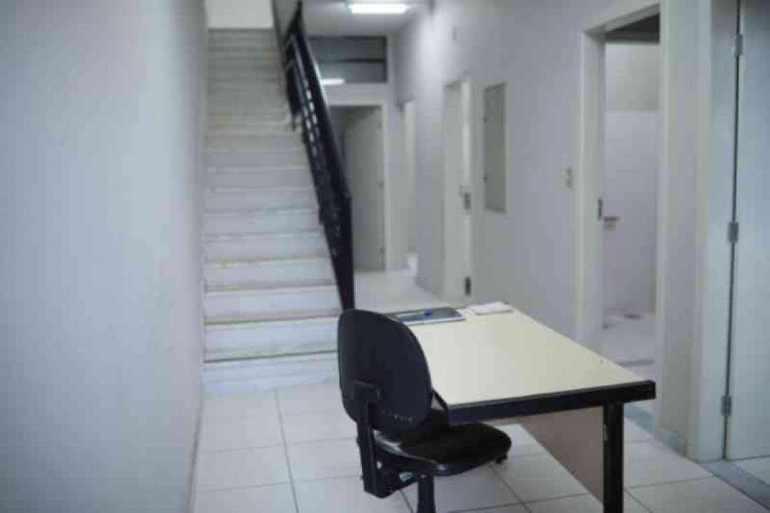 Pelo País: Clínica veterinária gratuita atenderá 20 animais por dia em BH