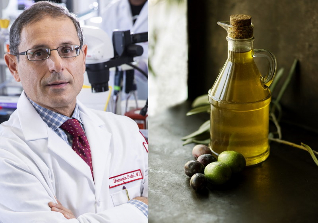 Saúde: azeite de oliva extra virgem evita demência, mostra estudo