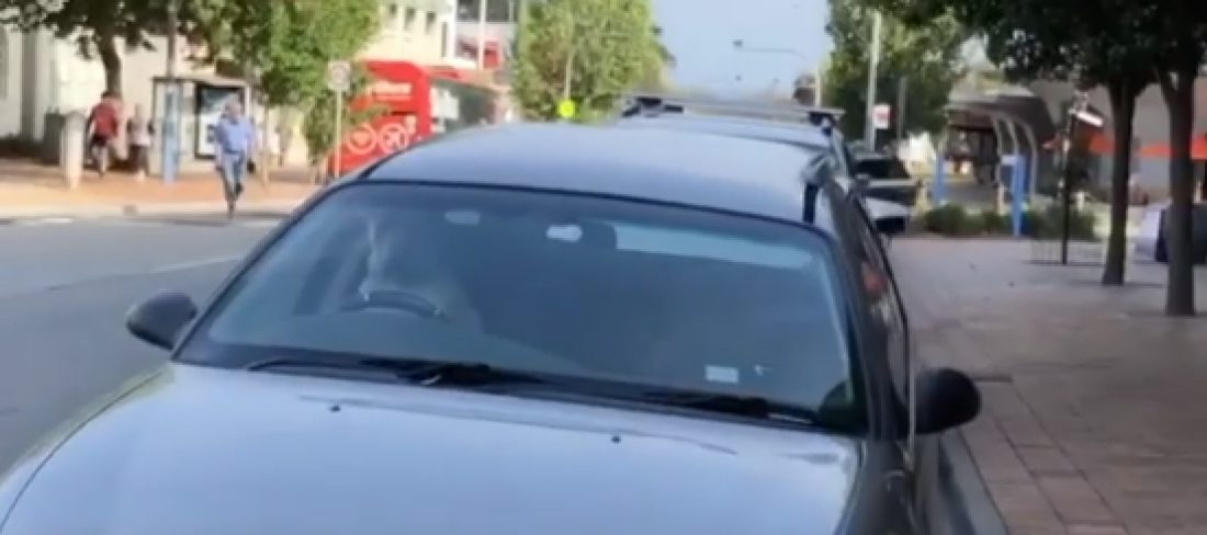 Internacional: Cachorro fica preso em carro e buzina até o dono aparecer 