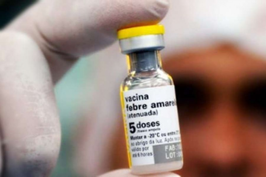 Febre Amarela: Ministério da Saúde inclui vacina de reforço para crianças de 4 anos