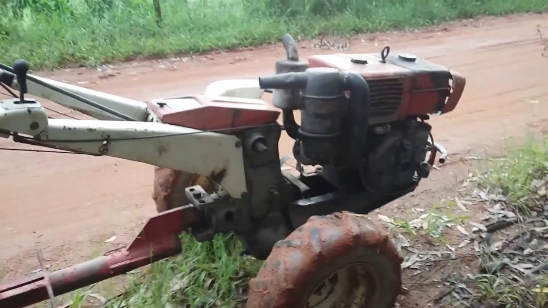 Morre a mulher que bateu com a tobata na casa em São Martinho