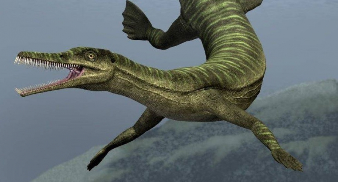 Fósseis de répteis que viveram antes dos dinossauros são descobertos em SC