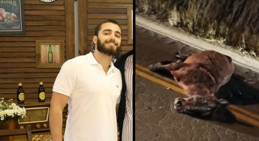 Motorista morre após colidir com cavalo solto na pista em Armazém