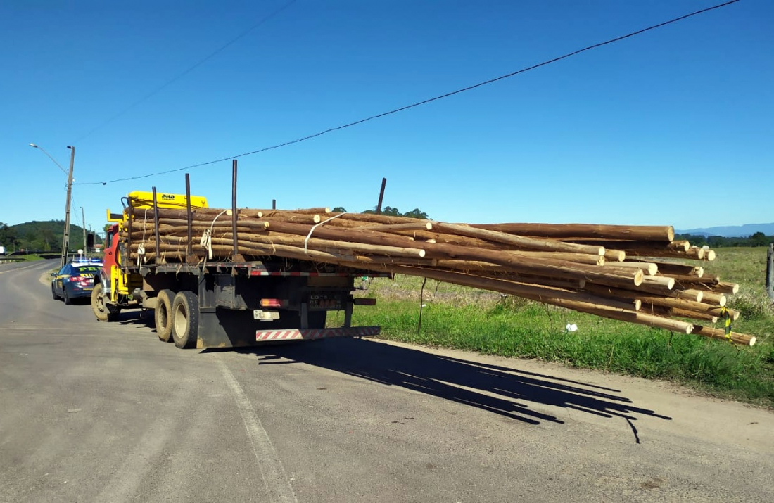 Motorista é multado por conduzir toras de madeira de forma irregular na BR-101