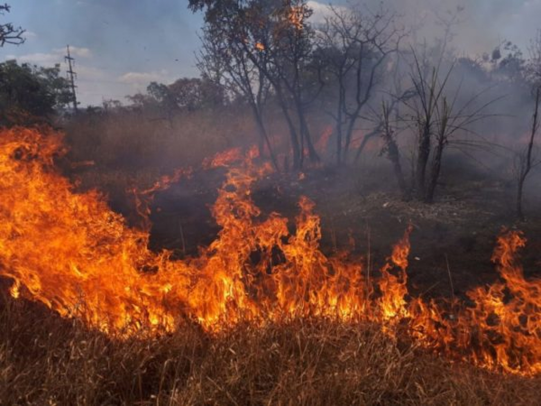 Incêndio em vegetação é combatido em Laguna