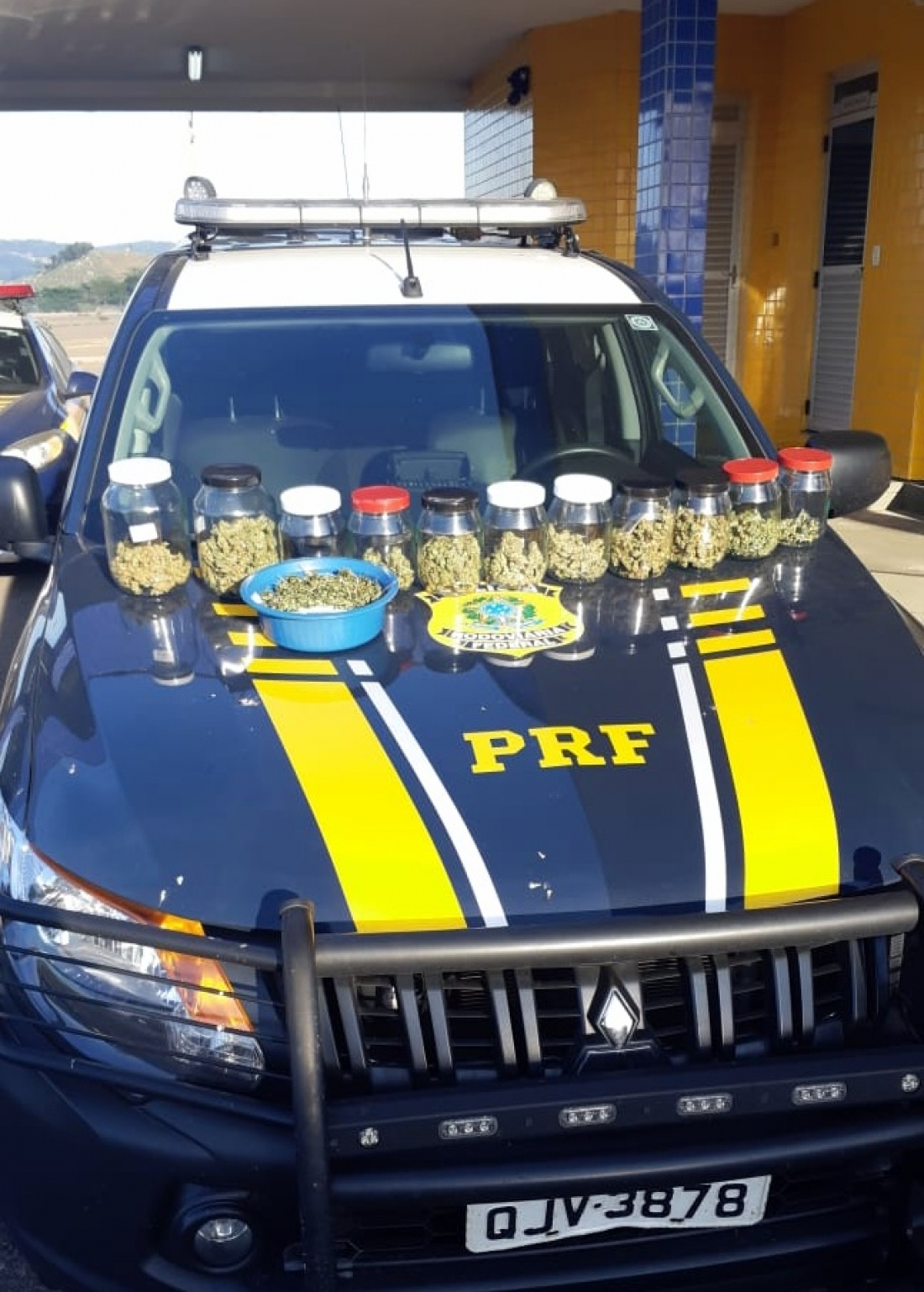 PRF apreende pés de maconha e potes de skunk na BR-101, em Tubarão 