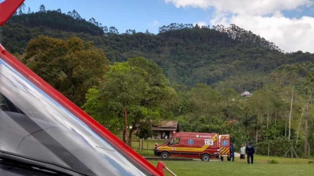 Em SC: idosa de 76 anos é atacada por enxame de abelhas e leva mais de 50 picadas