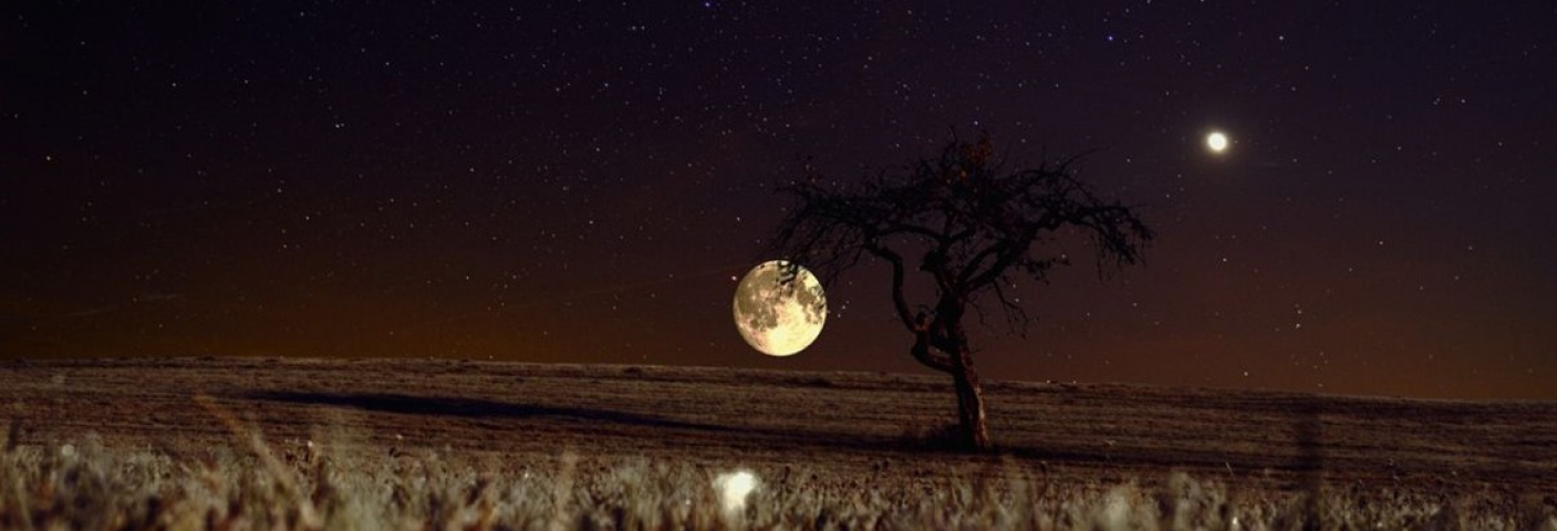 Eclipse lunar penumbral: saiba como observar o evento na segunda-feira (30)