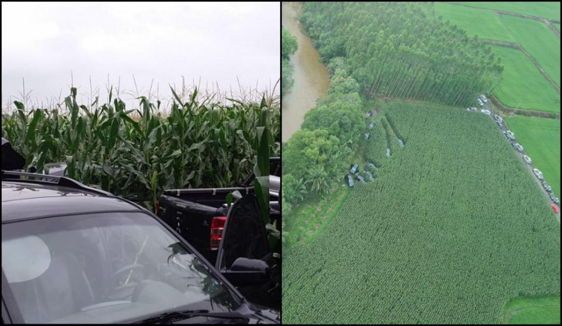 Assalto de Criciúma: bandidos abandonaram os carros no interior de Nova Veneza