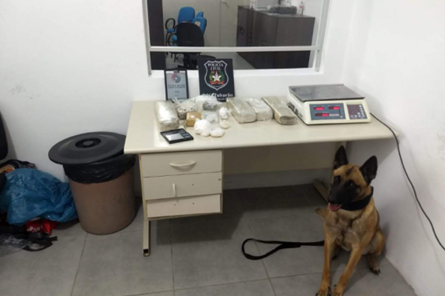 A ‘casa caiu’! Cocaína, maconha e crack são apreendidos nesta manhã; Ação foi realizada pelas polícias Militar e Civil