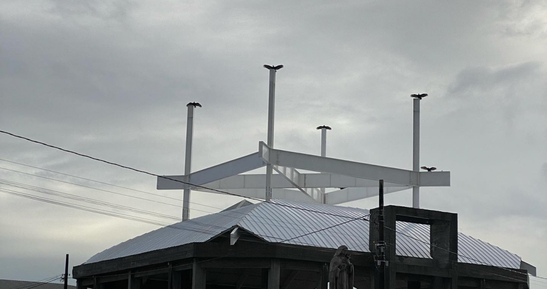 Aves pousam nas torres do Santuário de Santa Teresinha e foto chama atenção