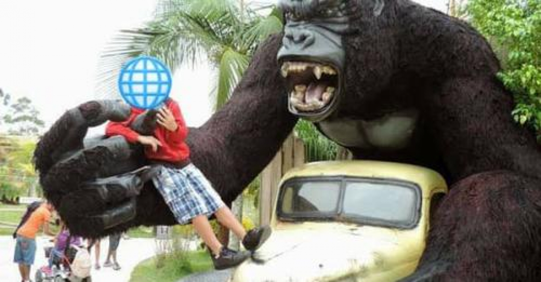 Em SC: Criança fica em estado grave ao cair de atração no Beto Carrero World