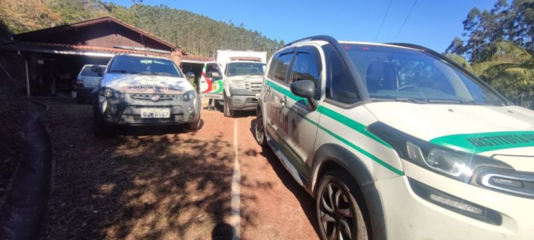 Em SC: neto de 14 anos confessa ter matado avô de 73 anos em Canelinha