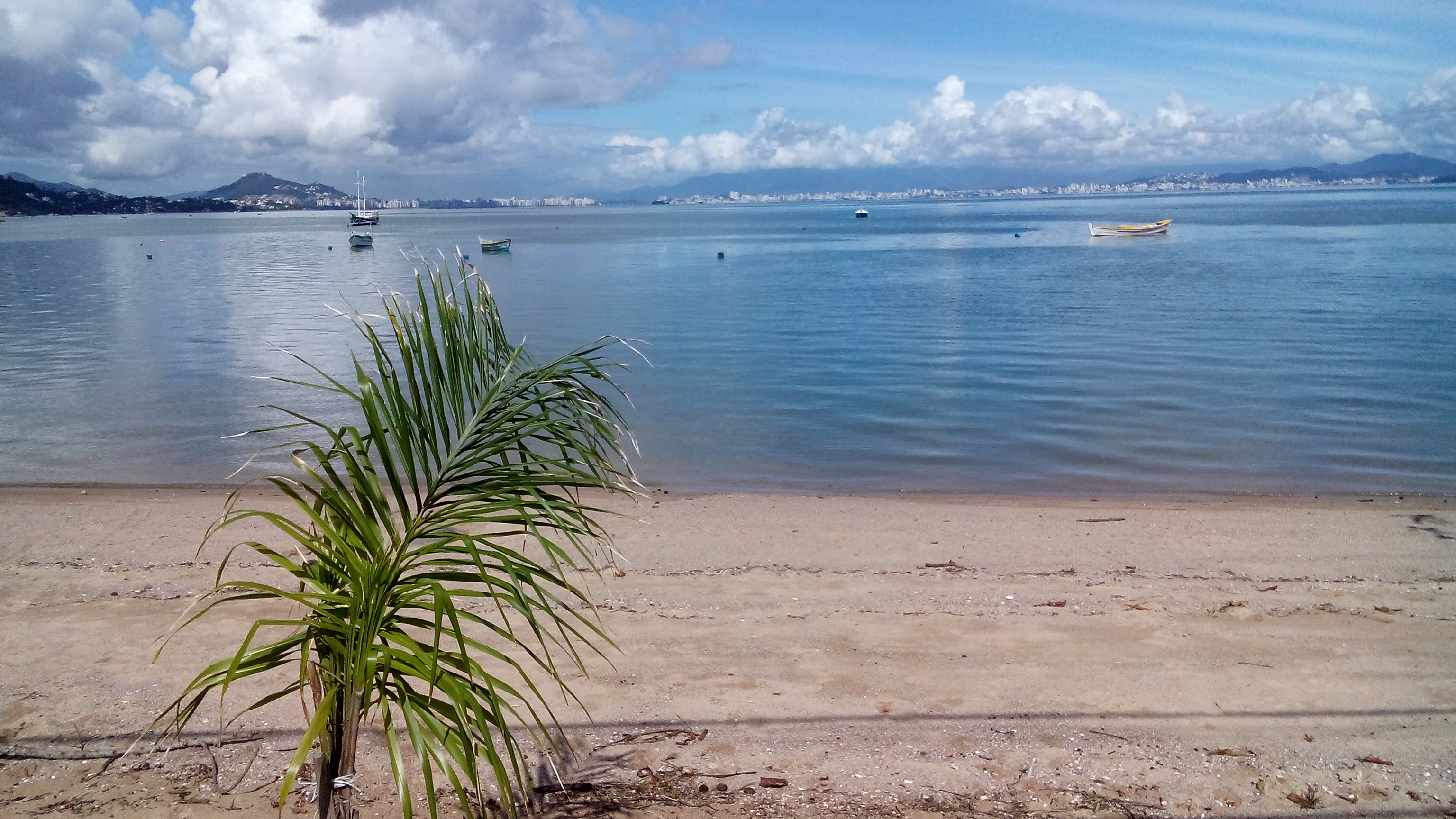 Sol e temperatura em elevação marcam os próximos dias #Tempo