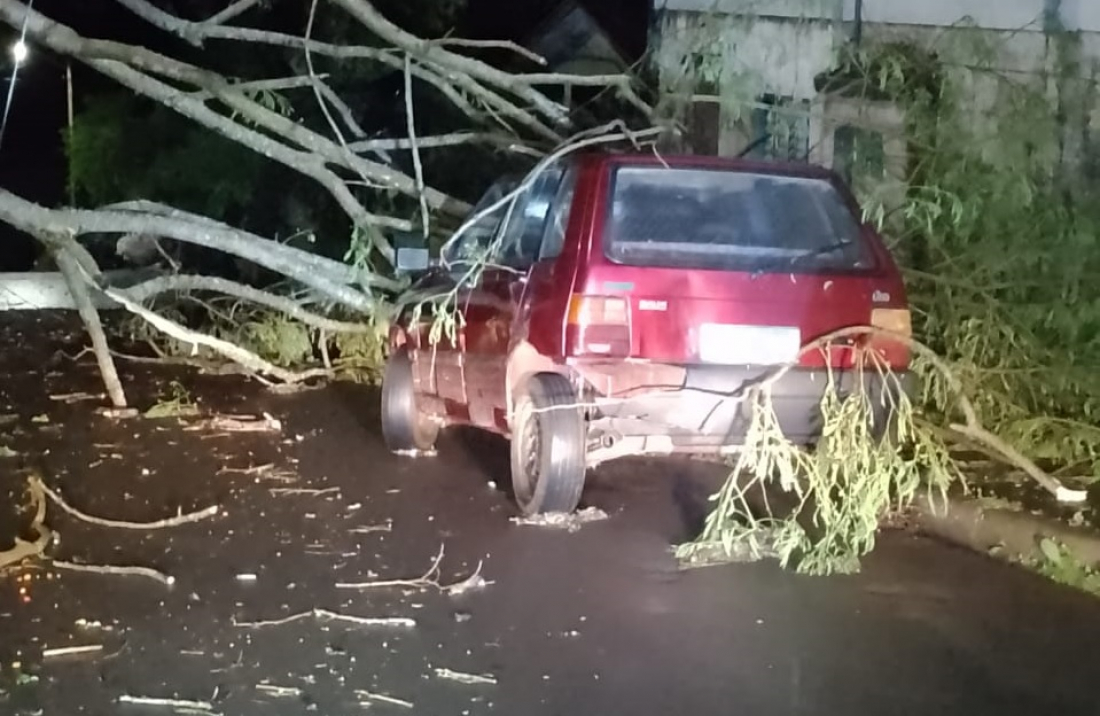 Em SC: Defesa Civil confirma passagem de tornado em Guatambu, no Oeste