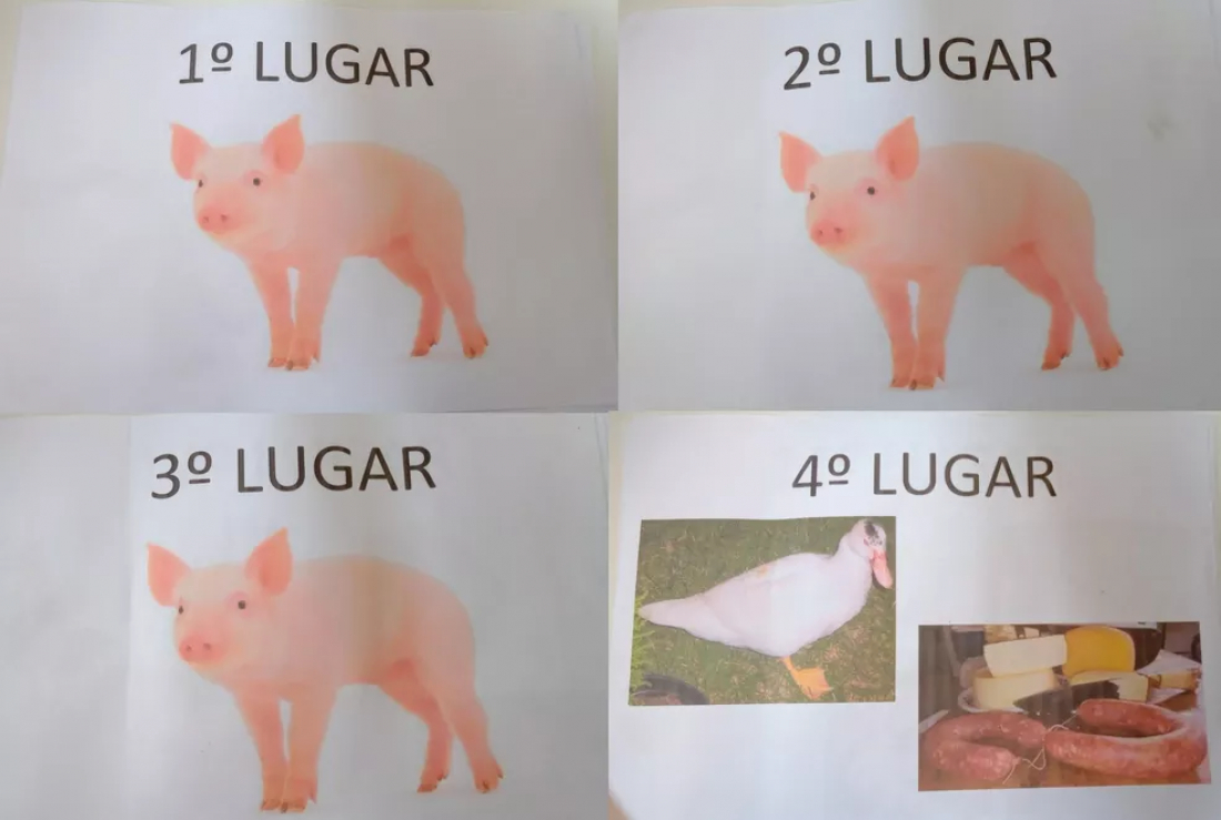 Com cerca de R$ 100 mil arrecadados, Rifa da Fazendinha divulga lista de vencedores