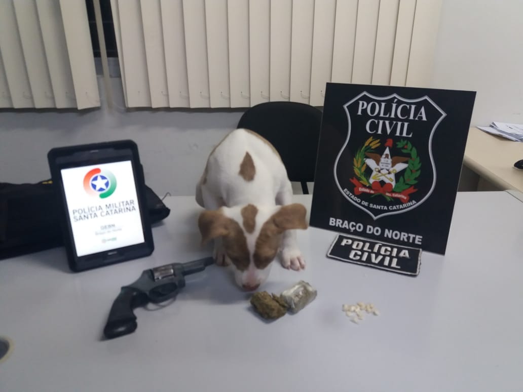 Crack, maconha, arma e dinheiro são apreendidos em Braço do Norte  #TraficoDeDrogas