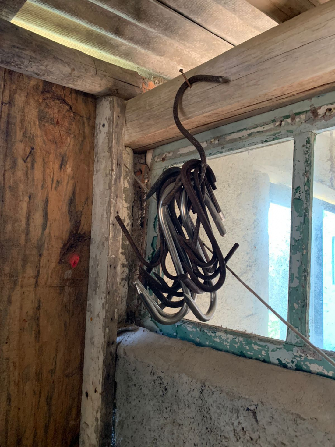 Polícia cumpre mandados de busca em investigações sobre furto de gado em Laguna