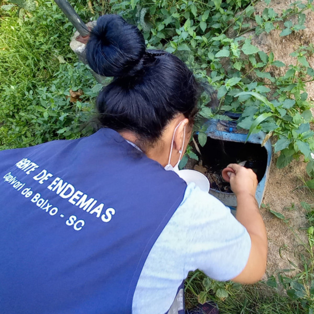 Capivari de Baixo: 1º foco mosquito da dengue de 2022 é encontrado no bairro Vila Flor